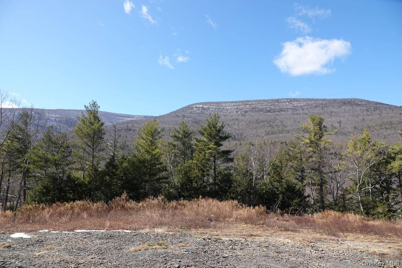 Tbd Manorville Road, Saugerties, NY 12477