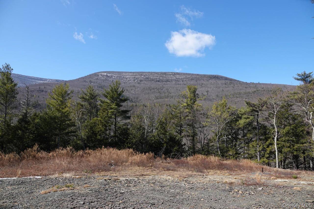 Tbd Manorville Road, Saugerties, NY 12477