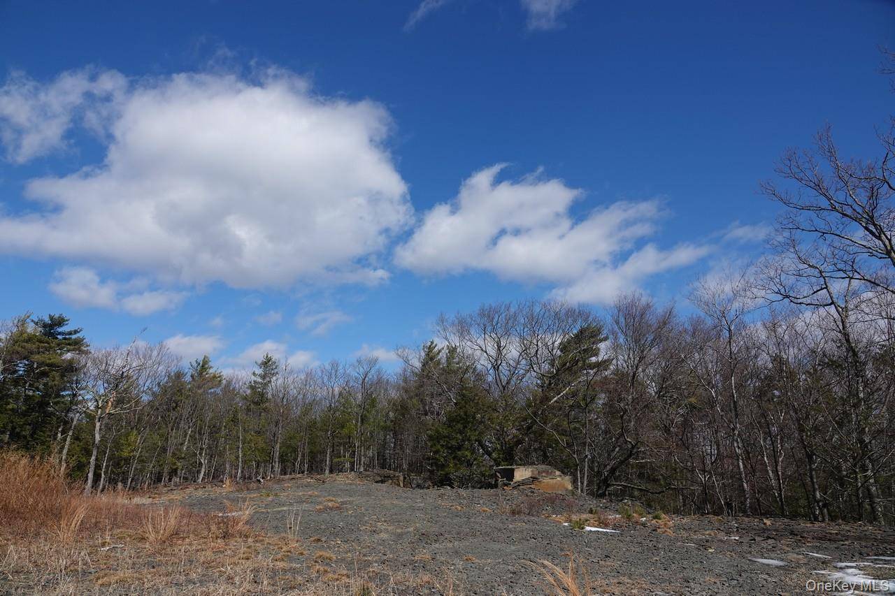 Tbd Manorville Road, Saugerties, NY 12477