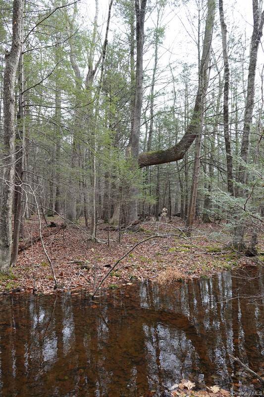 738 Manorville RD, Saugerties, NY 12477