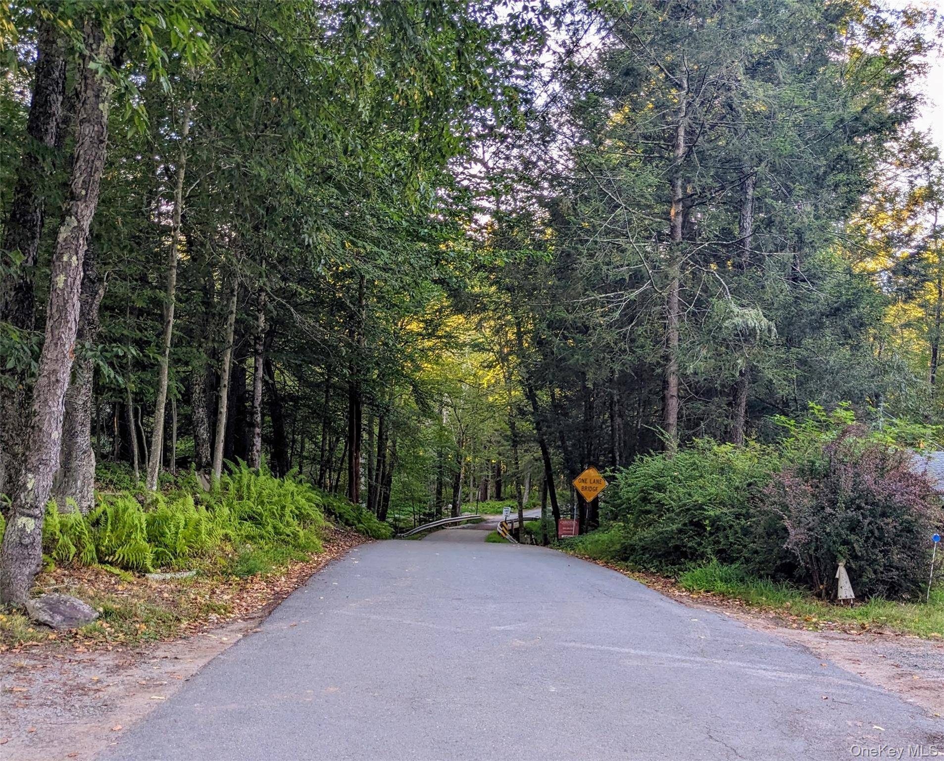 24 N Mohican TRL, Smallwood, NY 12778