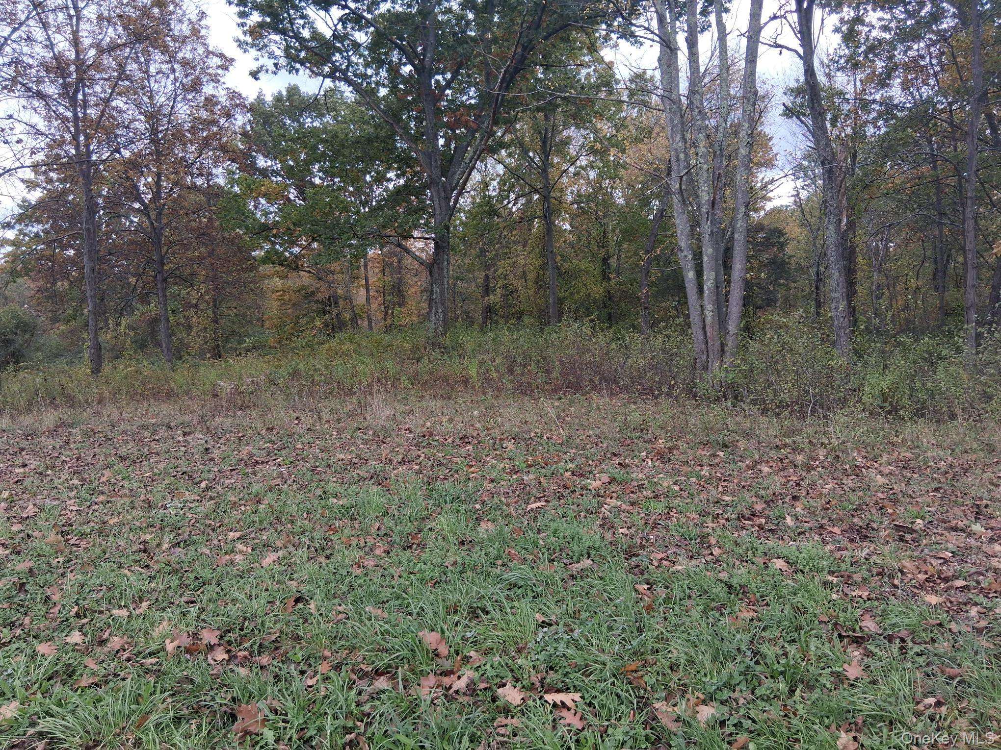 South RD, Germantown, NY 12526
