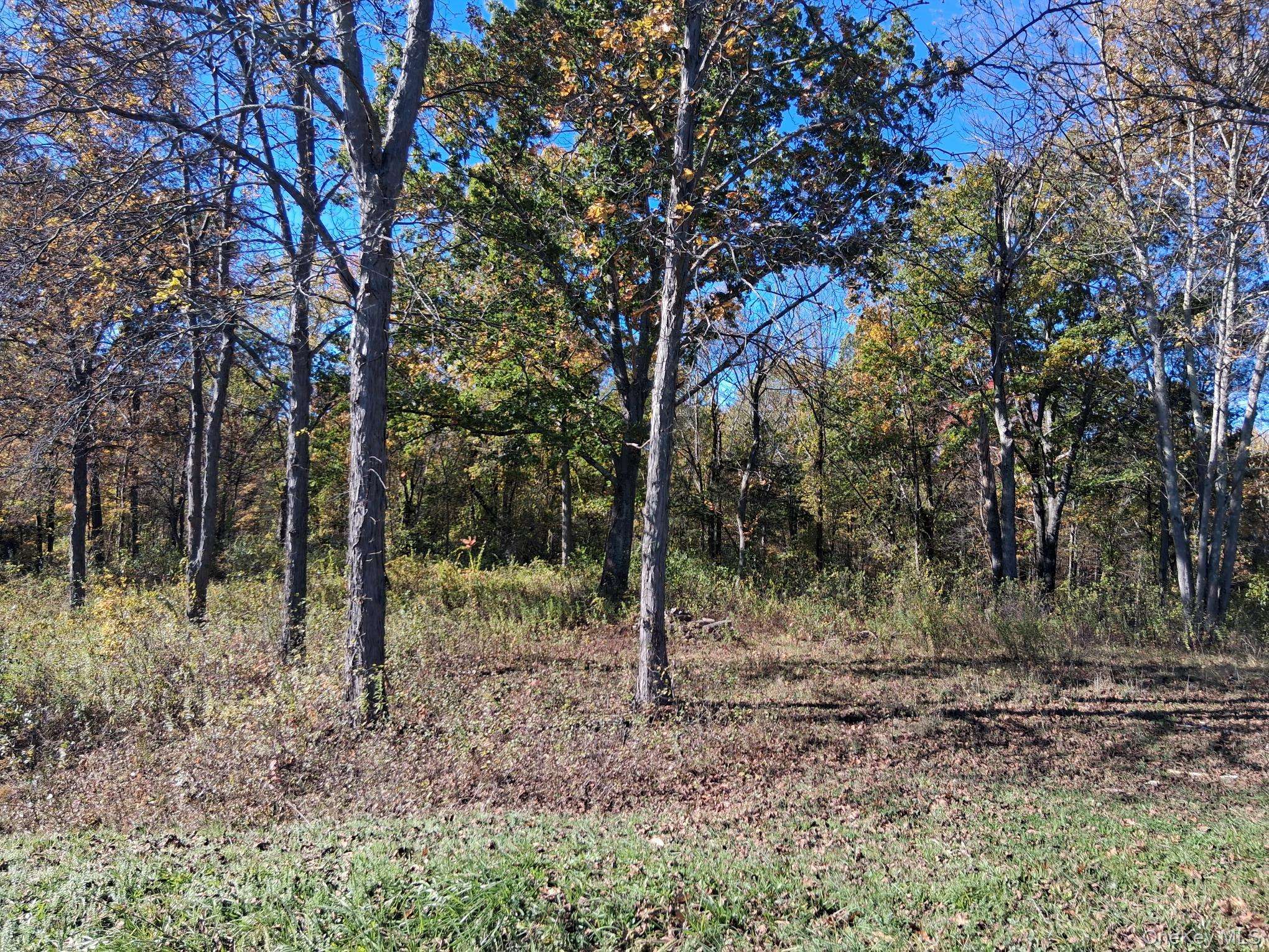 South RD, Germantown, NY 12526