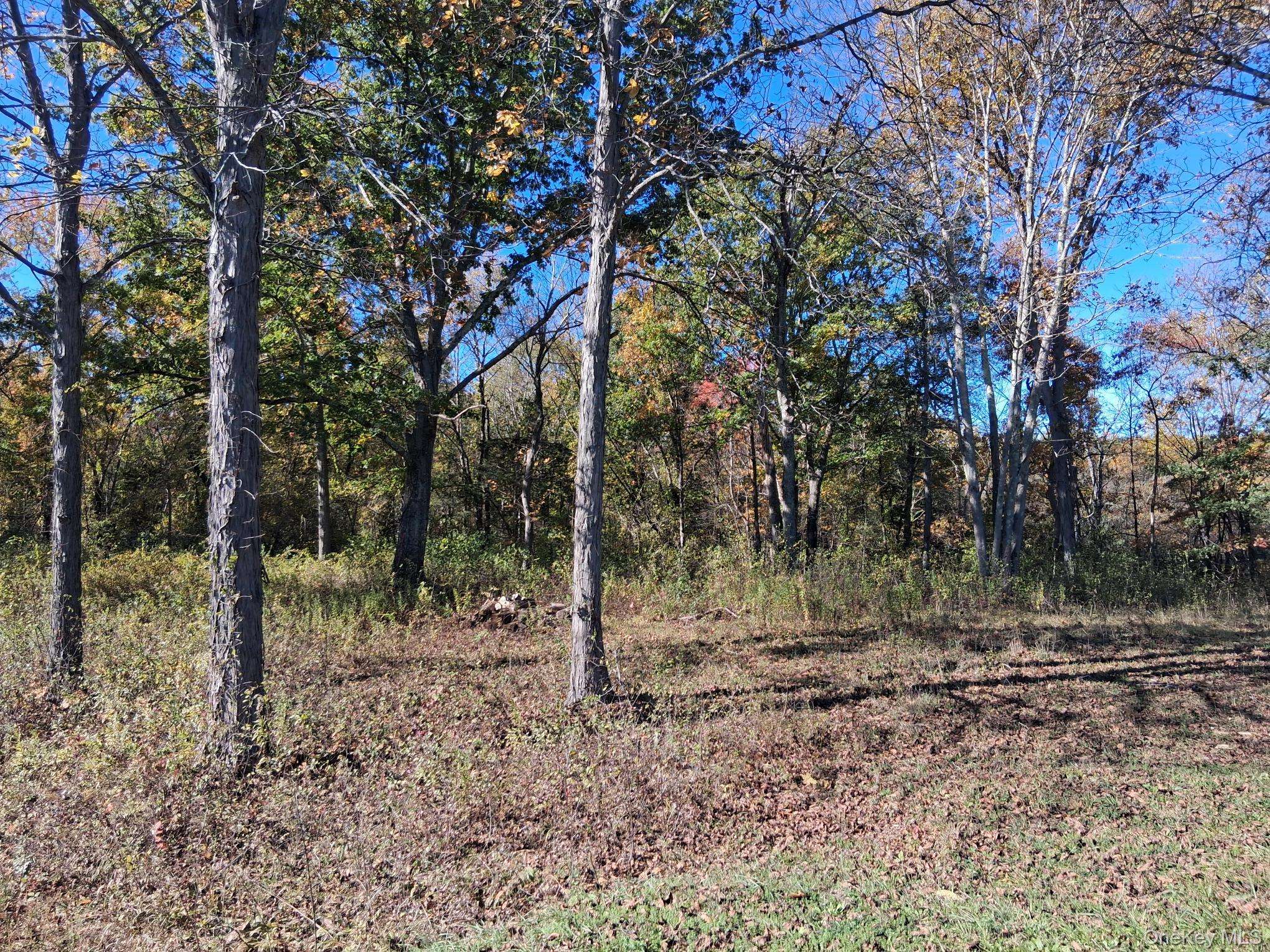 South RD, Germantown, NY 12526