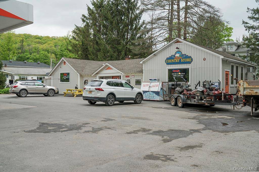 1293 Main ST, Fleischmanns, NY 12430