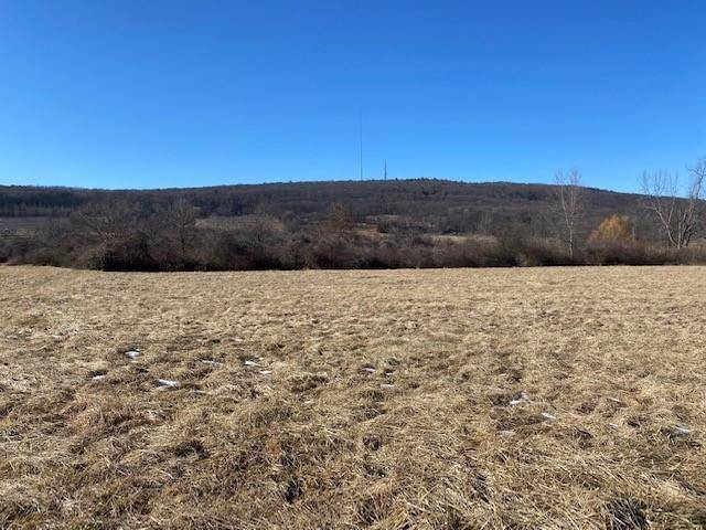 243 Vineyard AVE, Highland, NY 12528