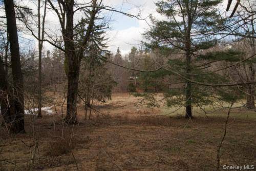 182 Tuxedo RD, Tuxedo Park, NY 10987