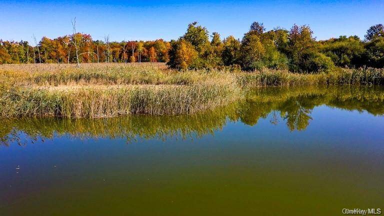 225 Route 22, Pawling, NY 12564