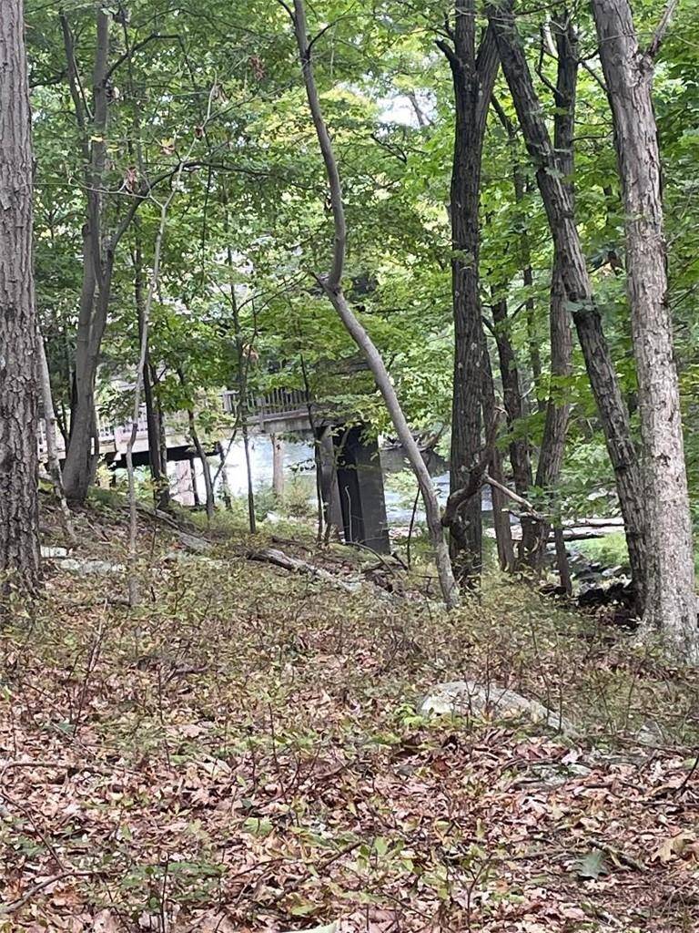 Lake Shore DR, Harriman, NY 10950