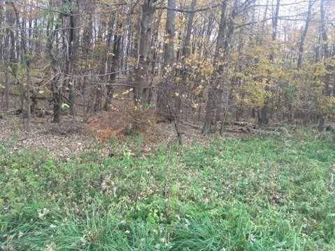 2452 Route 52, Hopewell Junction, NY 12533