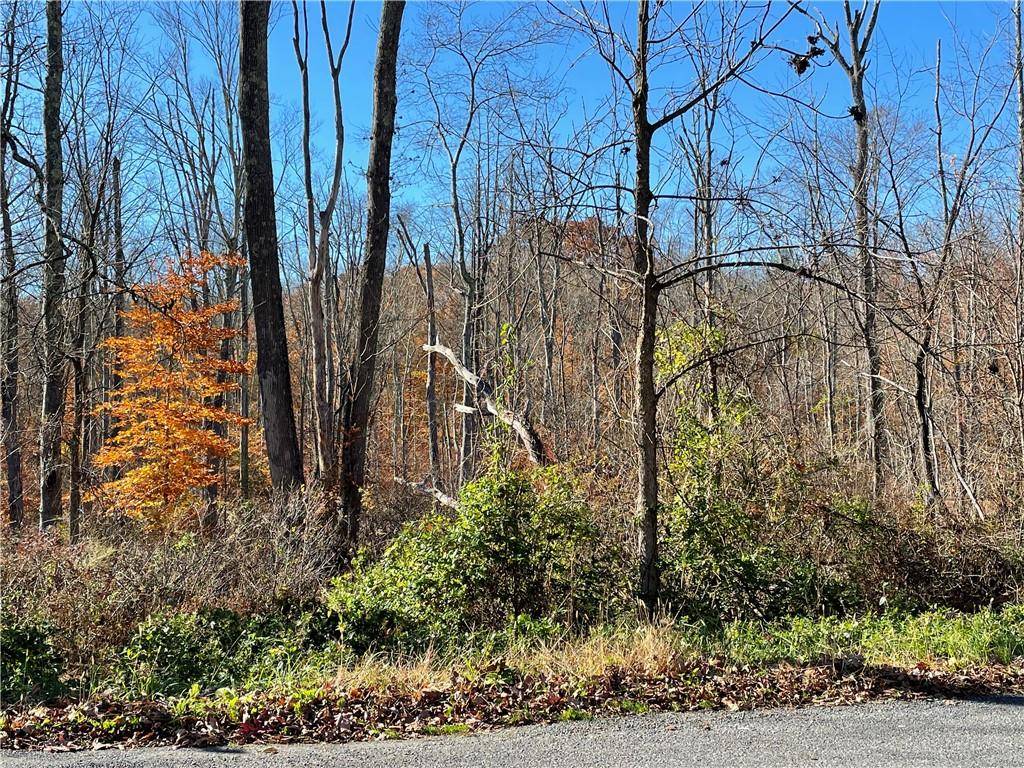 Lake Shore DR, Pine Bush, NY 12566