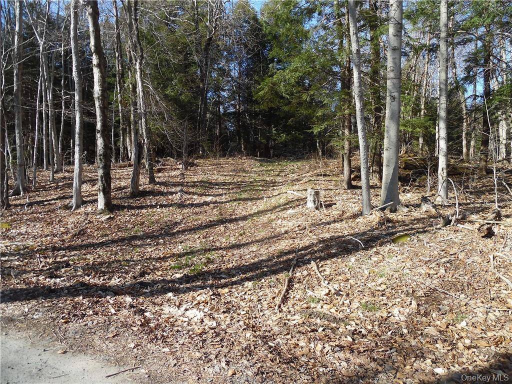183 Revonah Hill RD, Liberty, NY 12754