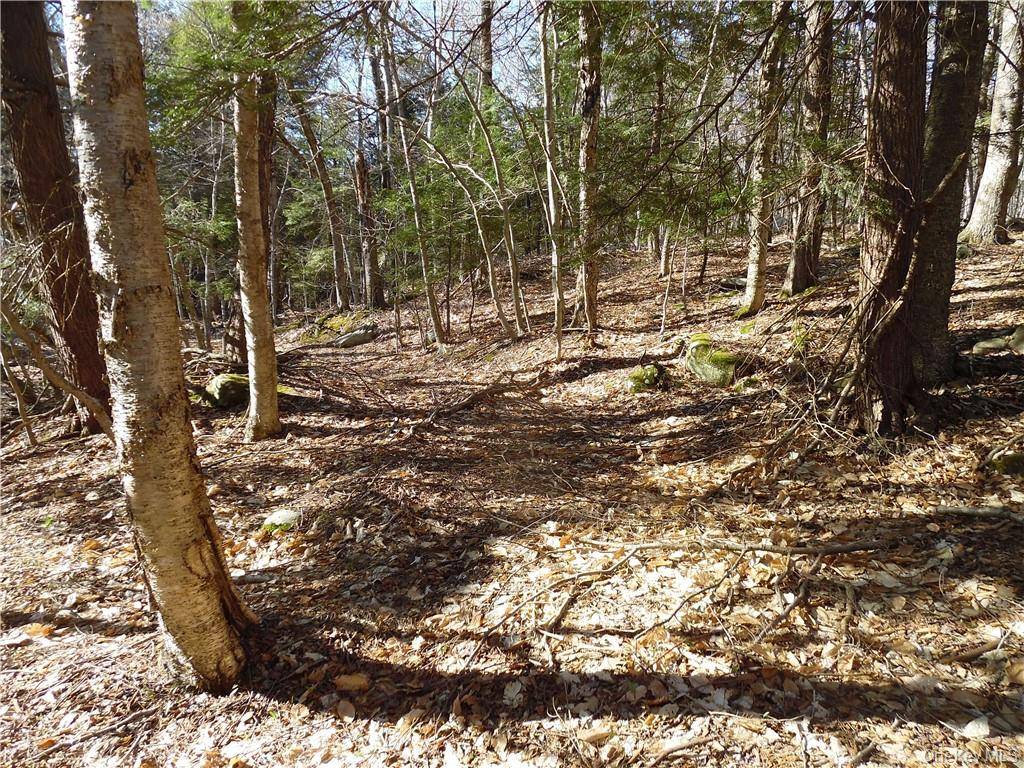 183 Revonah Hill RD, Liberty, NY 12754