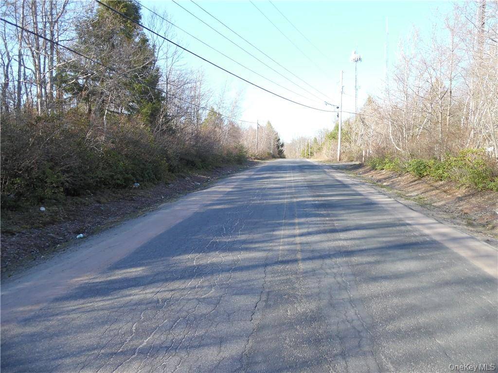 183 Revonah Hill RD, Liberty, NY 12754