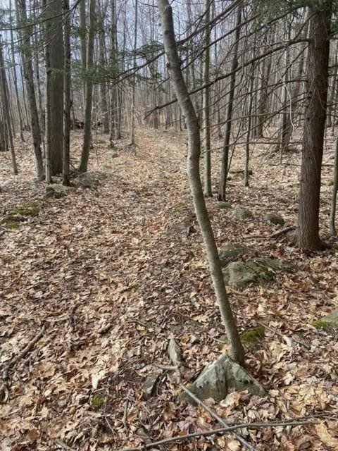 219 Bailey RD, Jewett, NY 12444