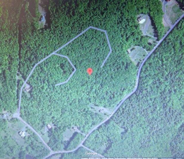 219 Bailey RD, Jewett, NY 12444