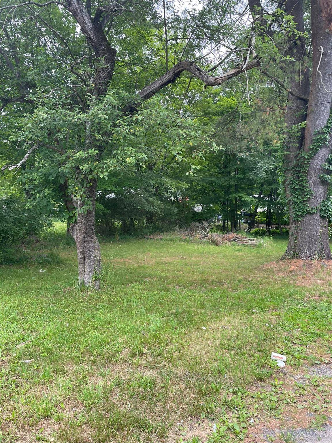 4710 st rt 55, Bethel, NY 12720