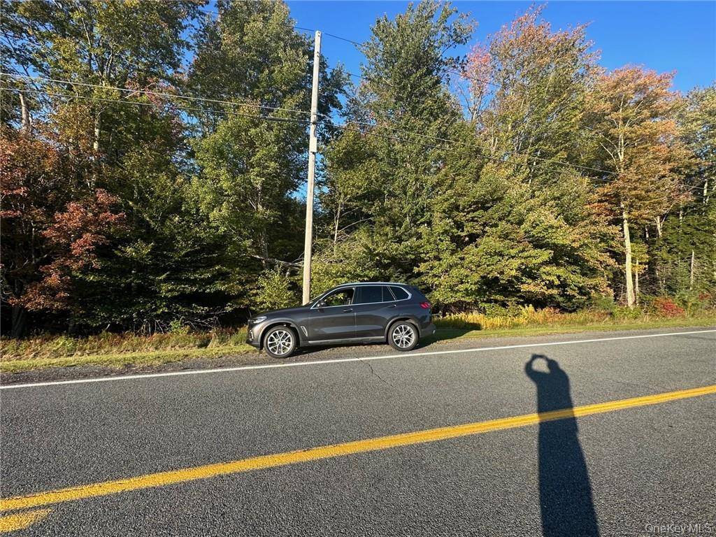 Ulster Heights RD, Fallsburg, NY 12733