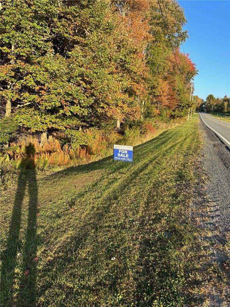 Ulster Heights RD, Fallsburg, NY 12733