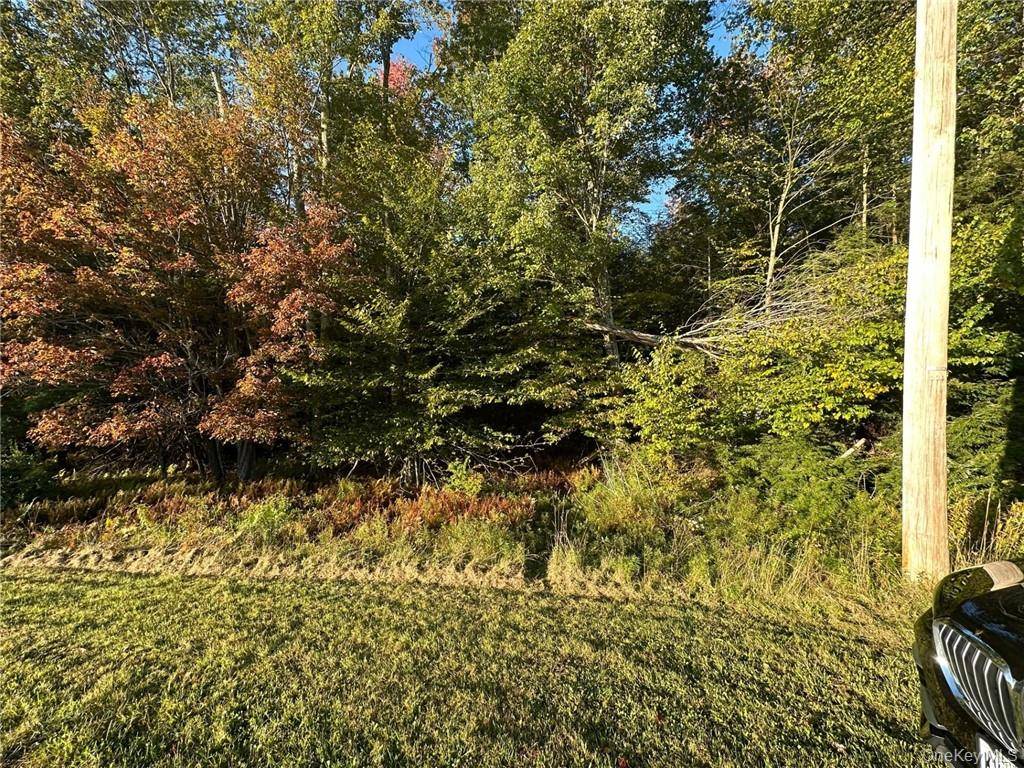 Ulster Heights RD, Fallsburg, NY 12733