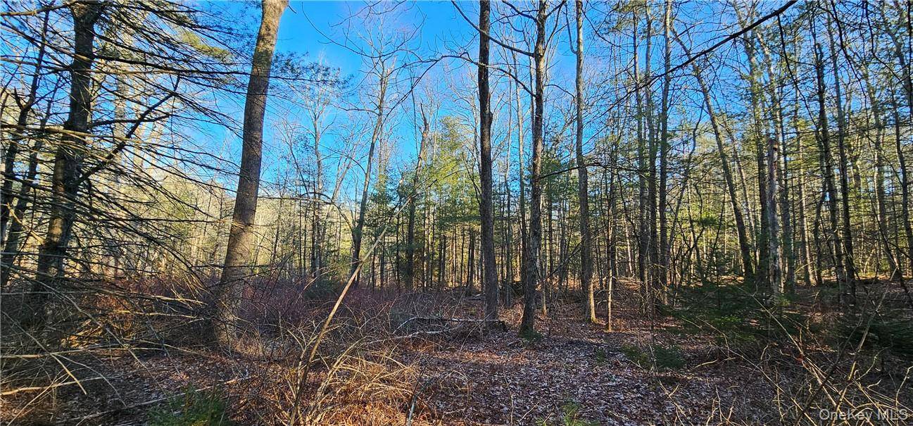 Lot 57.1 Yulan-Barryville RD, Barryville, NY 12719