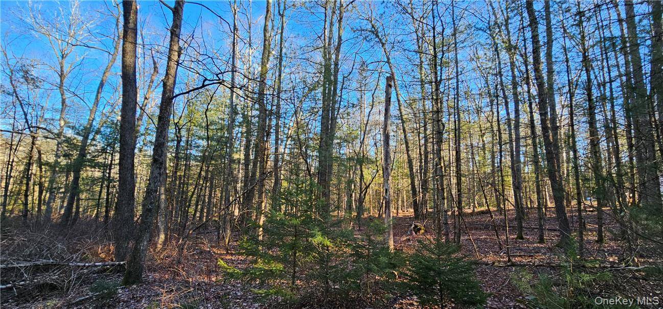 Lot 57.1 Yulan-Barryville RD, Barryville, NY 12719