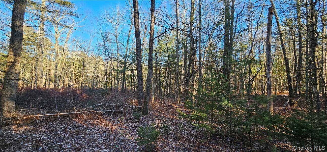 Lot 57.1 Yulan-Barryville RD, Barryville, NY 12719
