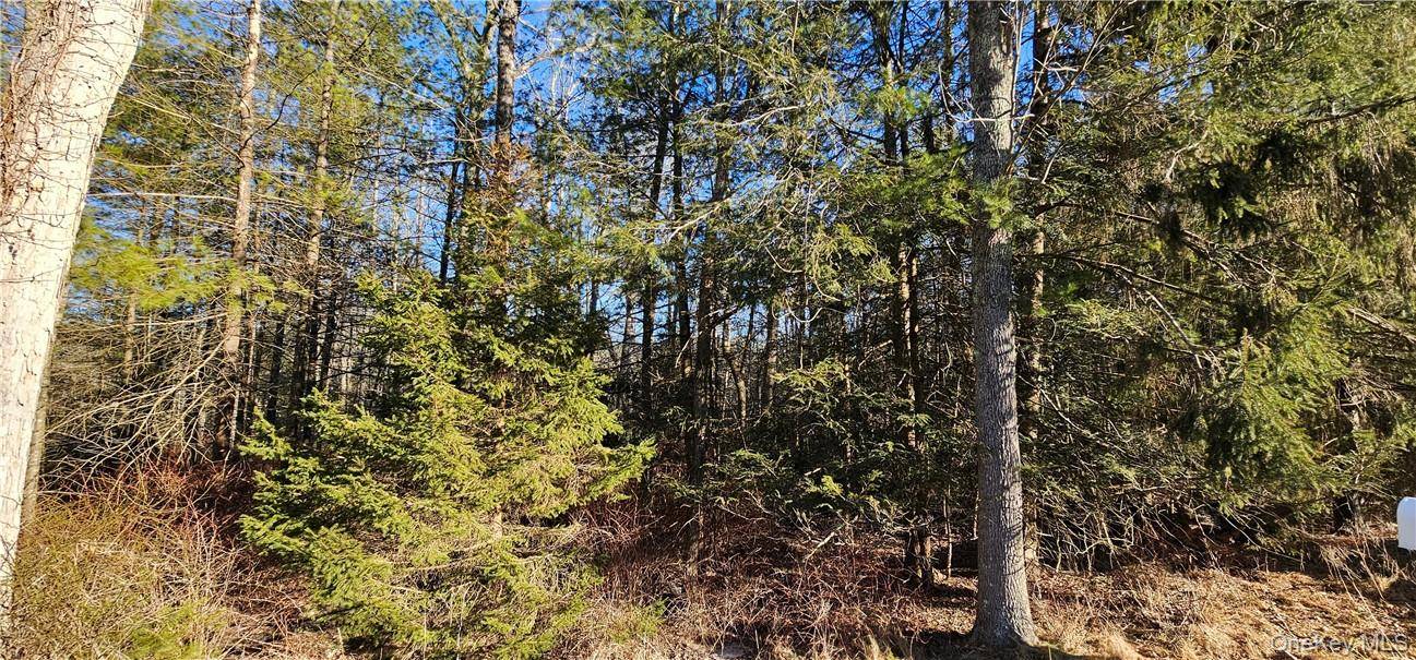 Lot 57.1 Yulan-Barryville RD, Barryville, NY 12719