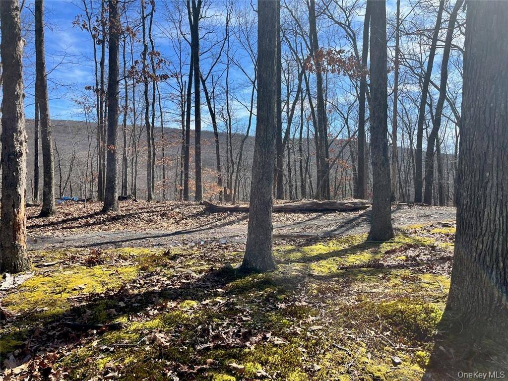 Greenville TPKE, Port Jervis, NY 12771