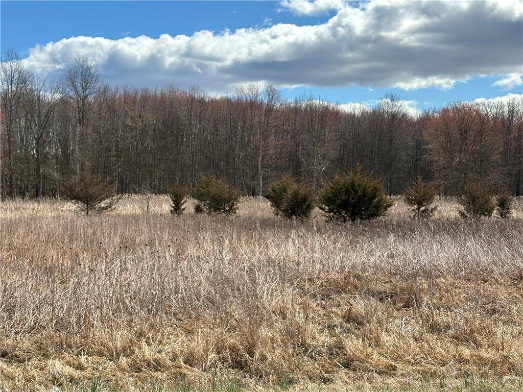 Drexel DR, Pine Bush, NY 12566