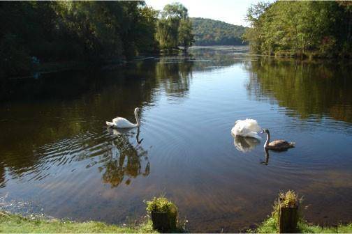 Ponderosa RD, Carmel, NY 10512