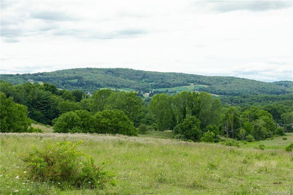 Yonderview RD, Hillsdale, NY 12529