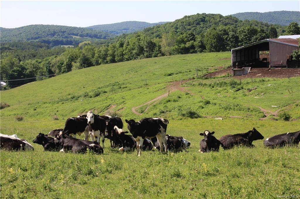 Yonderview RD, Hillsdale, NY 12529