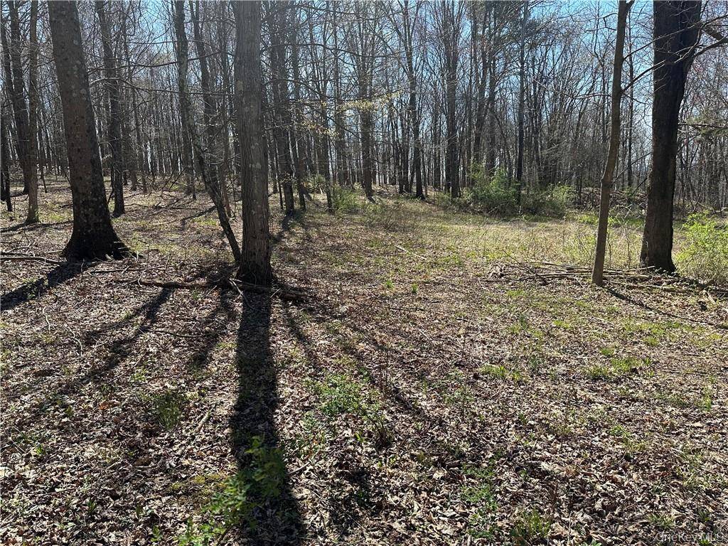 Cronk RD, Wallkill, NY 12589