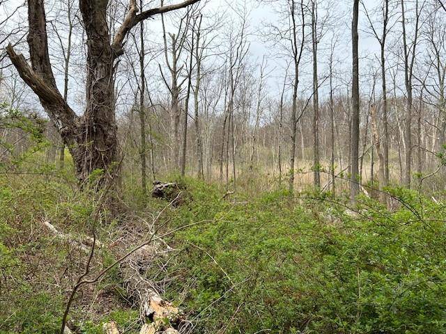 149 Dixon RD, Carmel, NY 10512