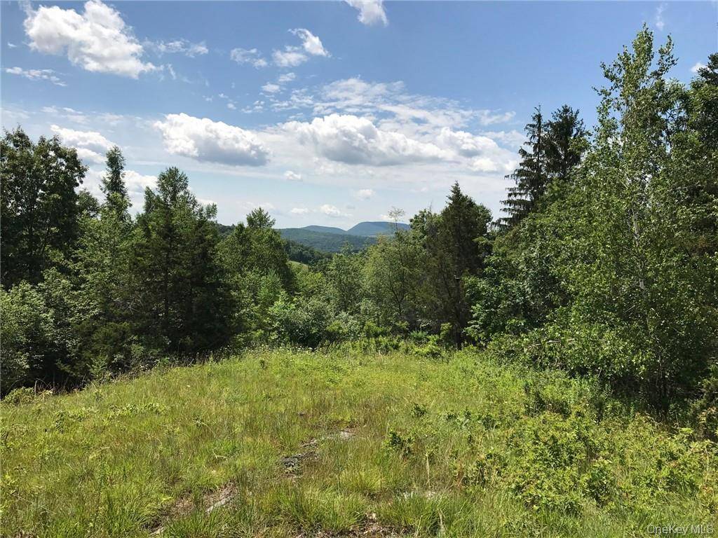 County rte. 7, Ancram, NY 12567