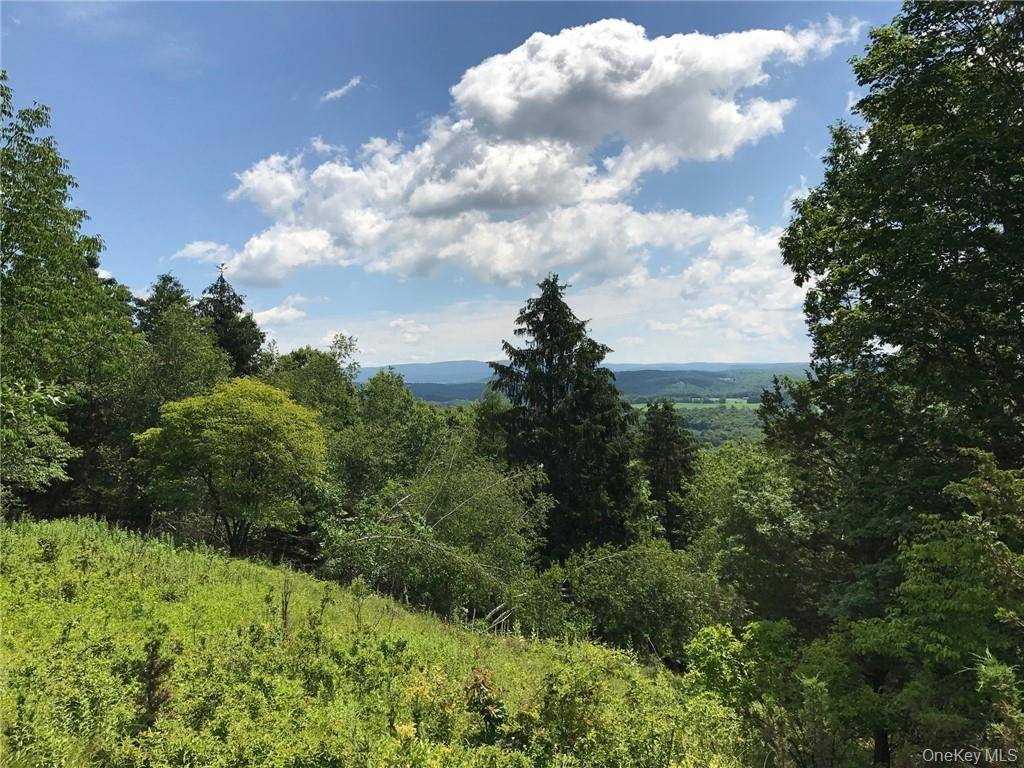 County rte. 7, Ancram, NY 12567