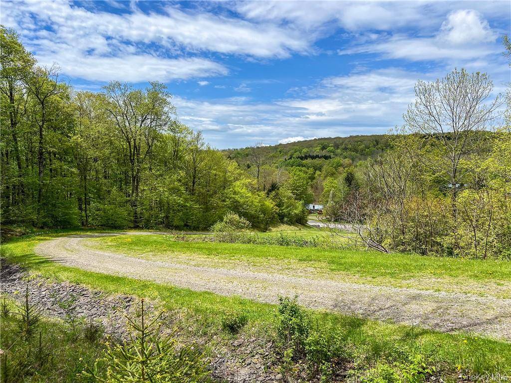 0 Rt-28, Andes, NY 13731