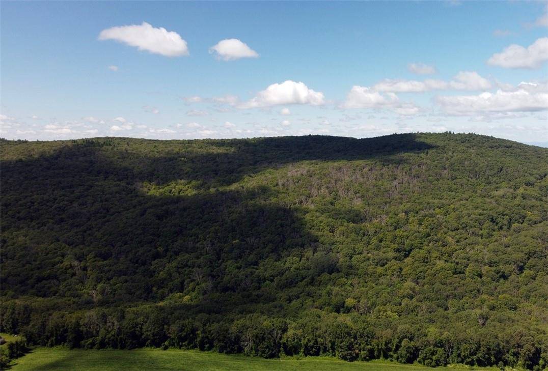 Cascade Mt / Perrys Corners, Amenia, NY 12501