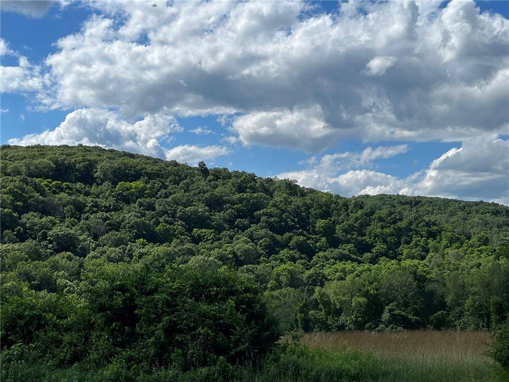Cascade Mt / Perrys Corners, Amenia, NY 12501