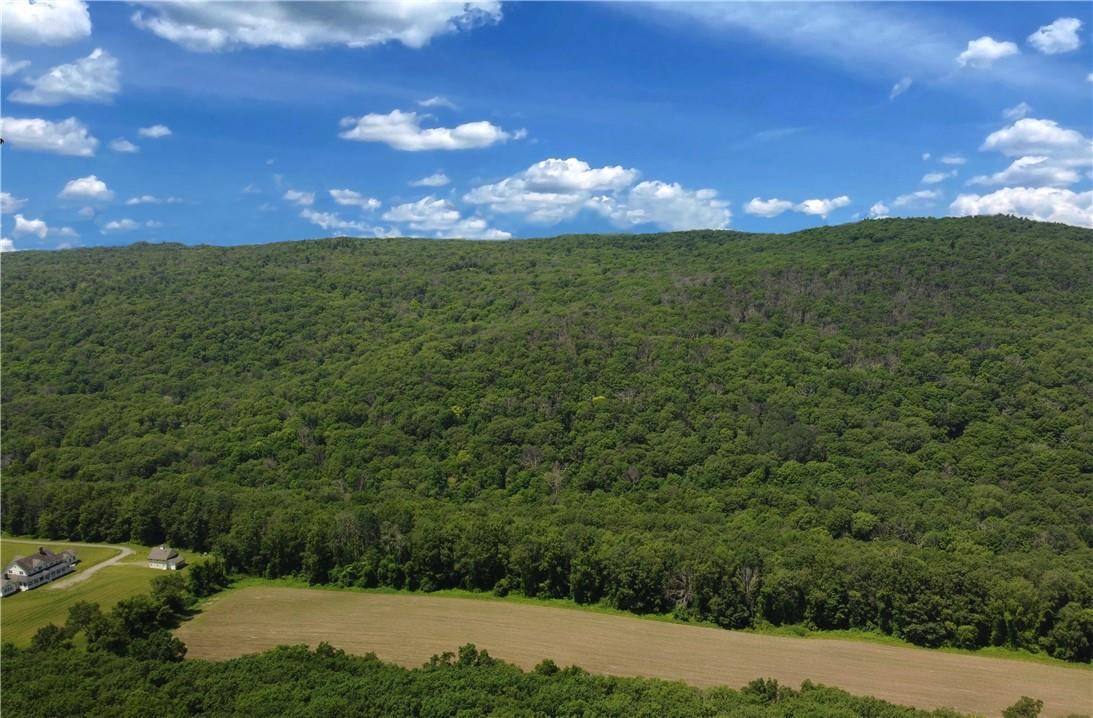 Cascade Mt / Perrys Corners, Amenia, NY 12501