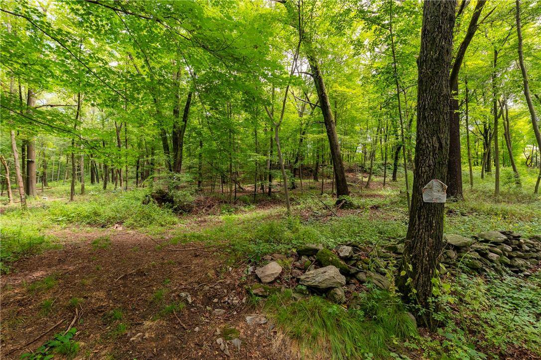 Arthursburg RD, Lagrangeville, NY 12540