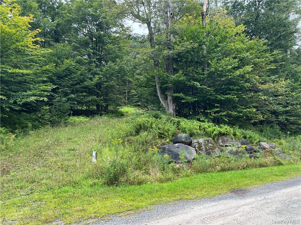 34 Black Bear XING, Claryville, NY 12725