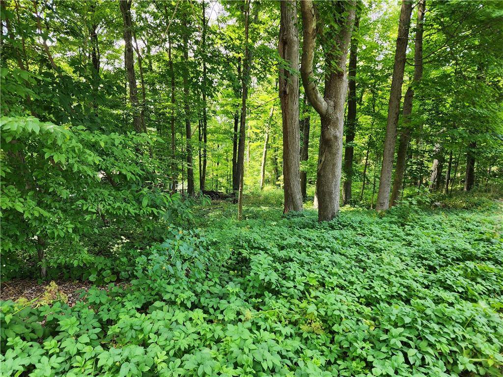 Rambler RD, Carmel, NY 10512