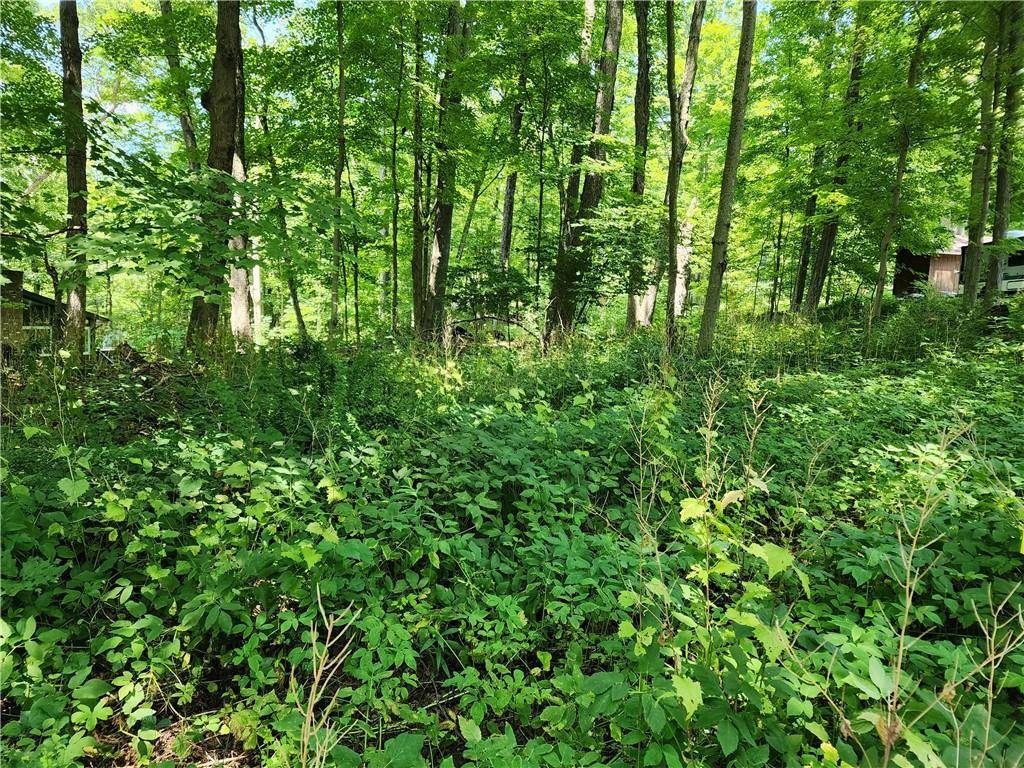 Rambler RD, Carmel, NY 10512