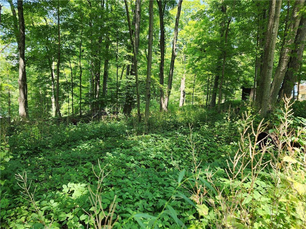 Rambler RD, Carmel, NY 10512