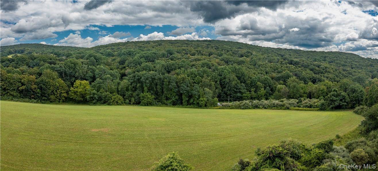 245 Birch Hill RD, Patterson, NY 12563
