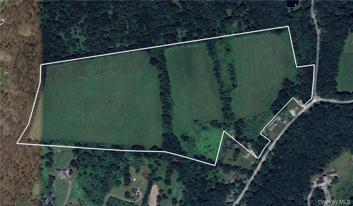 245 Birch Hill RD, Patterson, NY 12563
