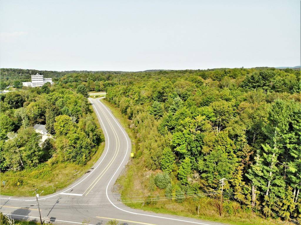 NYS Rt 17 and Old Rt 17, Harris, NY 12742
