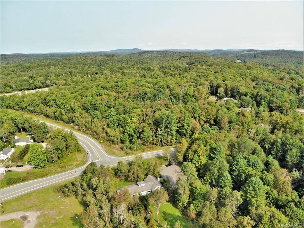 NYS Rt 17 and Old Rt 17, Harris, NY 12742